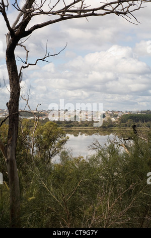 Neubaugebiet neben See Joondalup, erstellt nach der Zerstörung des einheimischen Buschland. Perth Western Australia Stockfoto