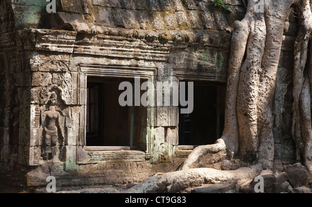 Tempel-Ruinen, Ta Prohm, Tür mit verwilderten Baum Wurzeln, Angkor, Provinz Siem Reap, Kambodscha Stockfoto