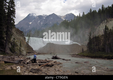 Wapta fällt auf Kicking Horse River, Yoho-Nationalpark Stockfoto