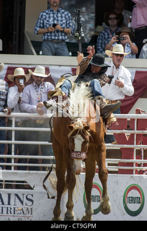 Anfänger ohne Sattel Event bei der Calgary Stampede Rodeo Stockfoto