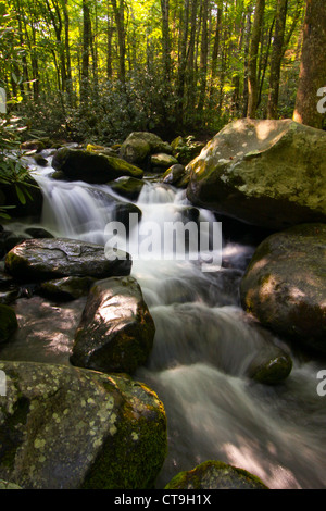 Kaskade am Roaring Fork Motor Naturlehrpfad im Great Smoky Mountains National Park in der Nähe von Gatlinburg, Tennessee Stockfoto