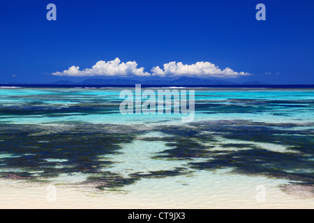 Tropische Schönheit in der Nähe von Anse Source d ' Argent, La Digue, Seychellen, Indischer Ozean auf La Digue auf den Seychellen Stockfoto