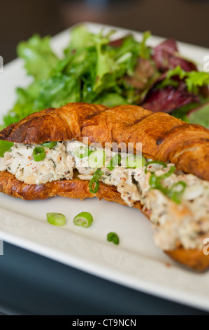 Ein Huhn, Salat Sandwich auf ein Croissant mit einem Salat serviert. Stockfoto