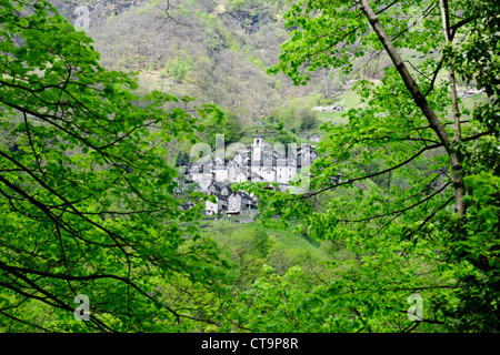 Mergooscia Dorf, Verzascatal, klar Verzasca Fluss, Gemeinde Corippo (kleinste in der Schweiz) Alpen, Tessin, Schweiz Stockfoto