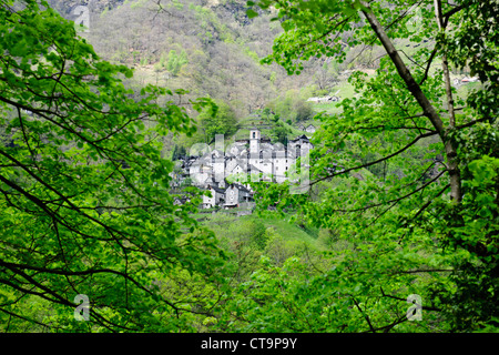 Mergooscia Dorf, Verzascatal, klar Verzasca Fluss, Gemeinde Corippo (kleinste in der Schweiz) Alpen, Tessin, Schweiz Stockfoto