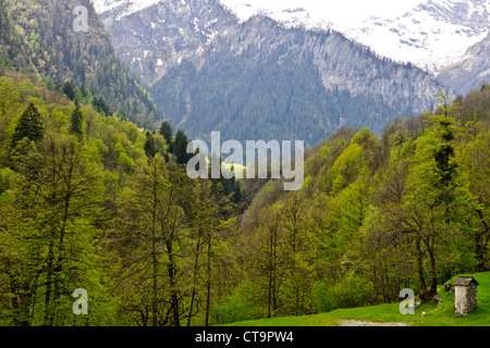 Naherholungsgebiet, Wandern, Walking, Kanu, Bergsteigen, Touristen, Tourismus, Veglio, Val Bavana, Schweiz Stockfoto