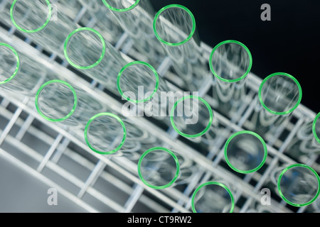 Eine Reihe von Reagenzgläsern in einem Reagenzglas-Gestell. Stockfoto