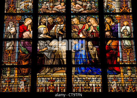 Farbige Glasfenster. St. Johns Cathedral,'s-Hertogenbosch, Niederlande. Stockfoto