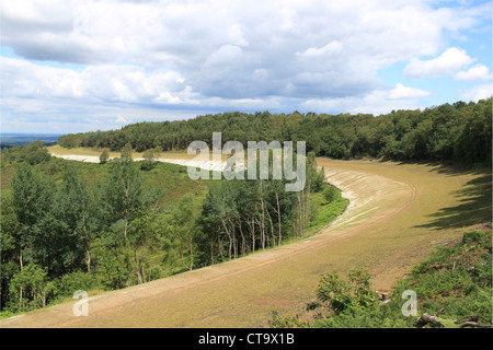 Alte Route von A3, jetzt angelegten nach Eröffnung des Tunnels unter Hindhead Gemeinsame, Surrey, England, Großbritannien, USA, UK, Europa Stockfoto