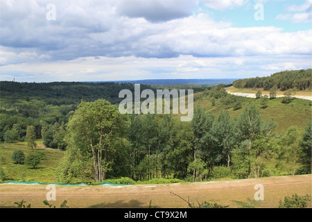 Alte Route von A3, jetzt angelegten nach Eröffnung des Tunnels unter Hindhead Gemeinsame, Surrey, England, Großbritannien, USA, UK, Europa Stockfoto