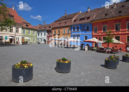 Platz und Corlored Häuser, Sighisoara, Karpaten Siebenbürgens, Târnava Mare Fluss Mureş Grafschaft, Rumänien, Osteuropa, EU Stockfoto