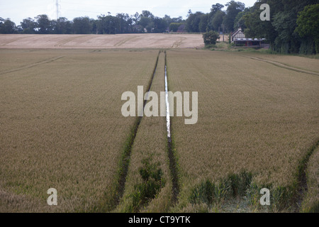 Regenwasser sammeln in den Spuren von einem Traktor in einem aufgeweichten Feld Weizen in den Midlands in England. Stockfoto