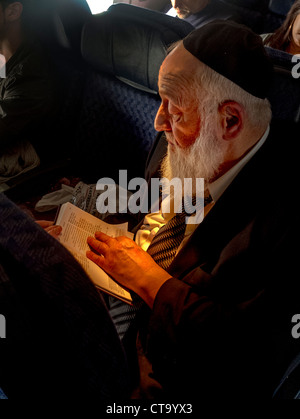 Tragen eine Kippa Käppchen, liest ein bärtiger orthodoxer Jude aus einem Buch auf Hebräisch auf ein Flugzeug während Passagiere schlafen. Stockfoto