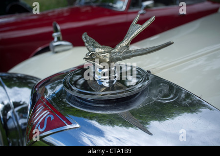 Schwalbe-Maskottchen-Abzeichen auf Oldtimer Alvis Stockfoto