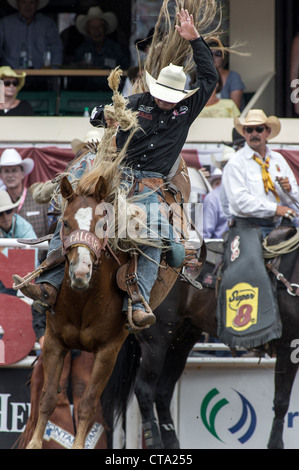 Sattel Bronc Event bei der Calgary Stampede Rodeo Stockfoto