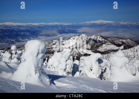 Weiche Rime und Mt. Gassan, Yamagata Tohoku Japan Stockfoto