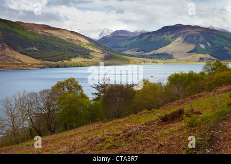 Blick Richtung Südosten aus Briefen über Loch Broom in Richtung Beinn Dearg. In der Nähe von Ullapool, Highland, Schottland Stockfoto