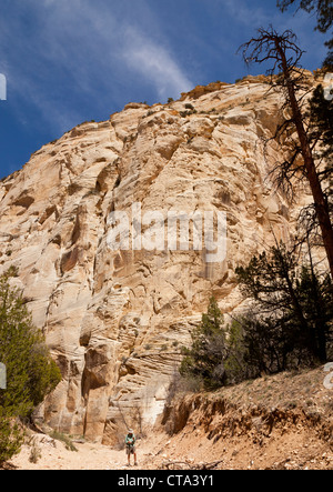 Ein Mann an einem Felsen auf dem lecken Wash Trail im südlichen Utah USA Stockfoto