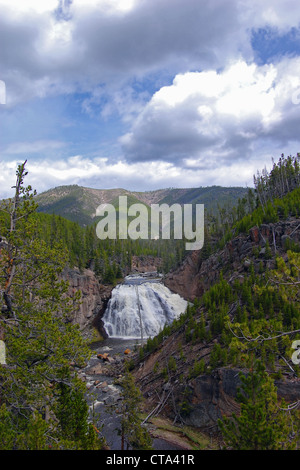 Gibbon Falls, Yellowstone-Nationalpark Stockfoto