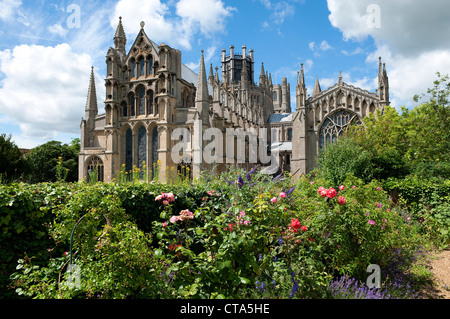 Ely Kathedrale, Cambridgeshire, england Stockfoto