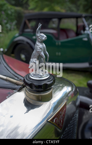 Hase Maskottchen Detail auf Oldtimer Alvis Stockfoto