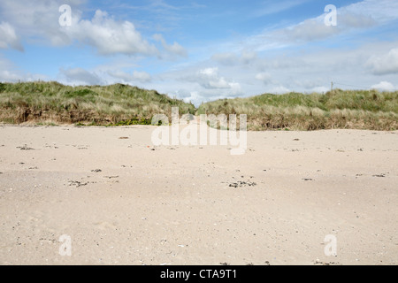 Portraine Strand Irland Stockfoto