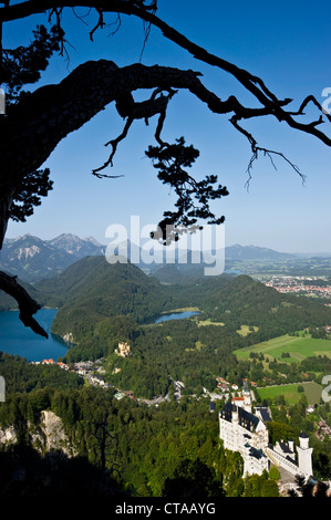 Blick auf Schloss Neuschwanstein und Schloss Hohenschwangau, Schwangau in der Nähe von Füssen, Allgäu, Bayern, Deutschland Stockfoto