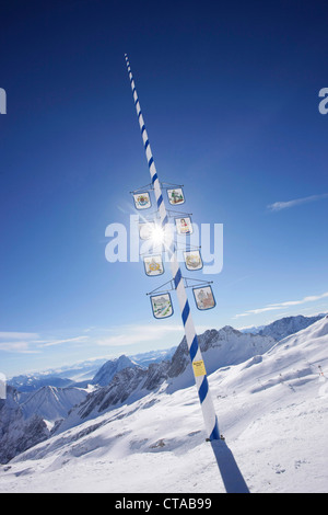 Mai-Baum am Sonnalpin, Blick auf dem Zugspitzplateau, Zugspitze, Bayern, Deutschland Stockfoto