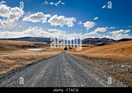 Straße entlang Lake Tekapo Stockfoto