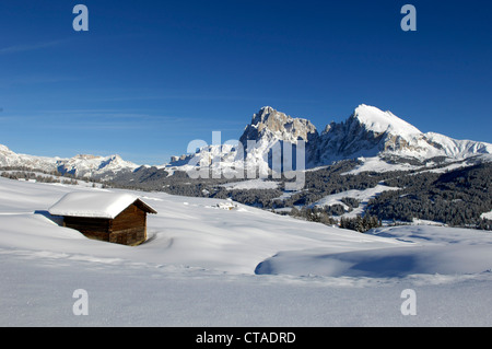 Holzhütte mit Schnee bedeckt, Plattkofels, Seiser Alm, Valle Isarco, Südtirol, Trentino-Alto Adige, Italien Stockfoto