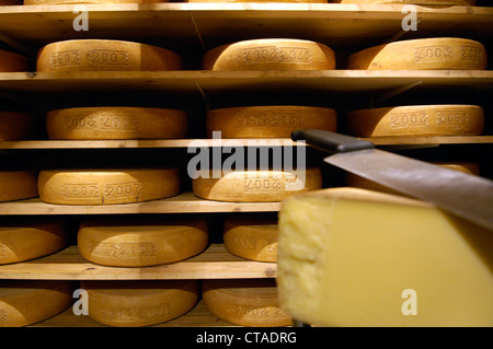 Käselaibchen, Alpkäse im Gehöft, Südtirol, Trentino-Alto Adige, Italien Stockfoto