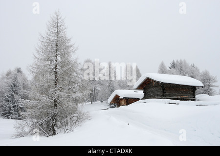 Almhütte mit Schnee bedeckt, Seiser Alm, Valle Isarco, Südtirol, Trentino-Alto Adige, Italien Stockfoto