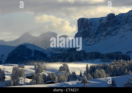 Tal im Morgennebel, Seiser Alm, Dolomiten, Südtirol, Trentino-Alto Adige, Italien Stockfoto