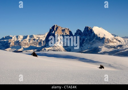 Langkofel, Langkofel massiv Plattkofels, Plattkofels alpinen Weiden Puflatsch, Alpe di Siusi, Eisacktal, UNESCO Welt natürlichen Stockfoto