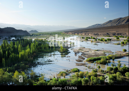 Marsh Land im Tal des Indus in der Nähe von Leh, Leh, Tal des Indus, Ladakh, Jammu und Kaschmir, Indien Stockfoto