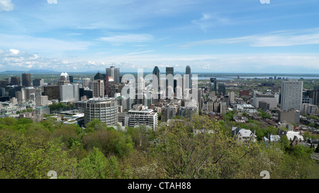 Ansicht der Stadt von Montreal durch Frühling Laub der von der Suche des Mont Royal Montreal Quebec Kanada Stockfoto