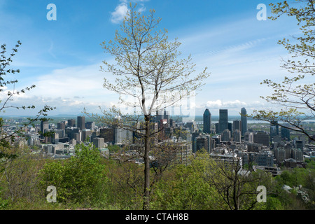 Blick auf die Stadt von Montreal Park und Bäume unterhalb der Feder Laub von Mont Royal Montreal Quebec Kanada Stockfoto