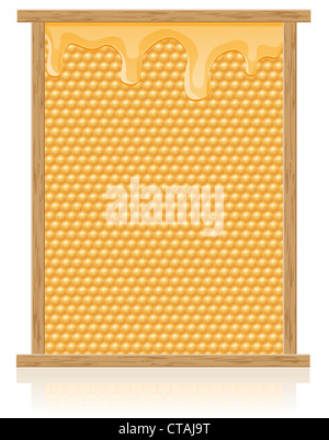 Honig-Kamm in der Frame-Abbildung isoliert auf weißem Hintergrund Stockfoto