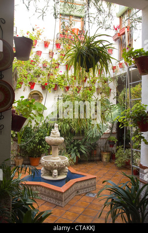Typischen andalusischen Patio mit Brunnen und zahlreichen Pflanzen (Geranien und Nelken) an den Wänden. Stockfoto