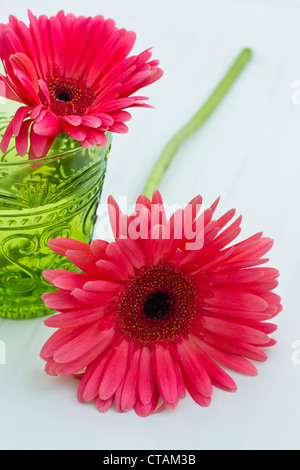 Rosa Gerbera Daisy Blume in grünem Glas und rosa Gerbera Daisy Blume auf weißen Tisch Stockfoto