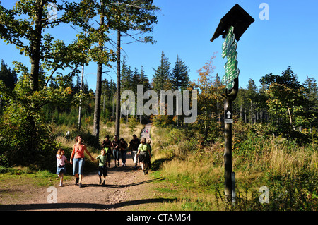 Wandern in der Nähe von Kickelhahn, Goethe-Wanderweg in der Nähe von Ilmenau, Thüringer Wald, Thüringen, Deutschland Stockfoto