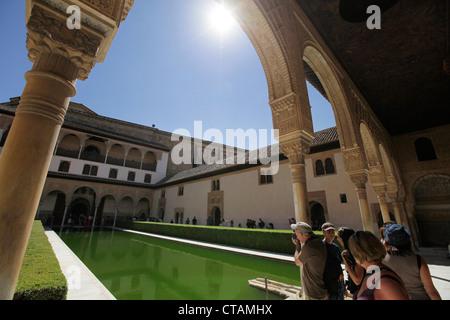 Gericht von Myrten, Alhambra, Provinz Granada, Andalusien, Spanien Stockfoto