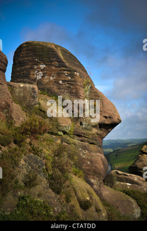 Gritstone Felsformation in Form eines menschlichen Kopfes auf Henne Cloud, die Kakerlaken, Peak District National Park, England Stockfoto