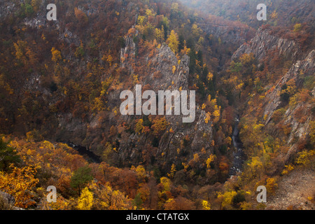 Blick vom Rosstrappe Felsen in das Bode-Tal in der Nähe von Thale, Harz Mountains, Sachsen-Anhalt, Deutschland, Europa Stockfoto