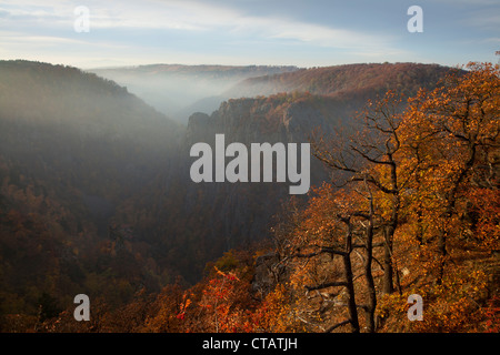 Blick vom Hexentanzplatz über das Bode-Tal zum Rosstrappe Felsen, in der Nähe von Thale, Harz Mountains, Sachsen-Anhalt, Deutschland, Europa Stockfoto