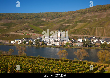 Blick von den Weinbergen auf Merl Bezirk, Zell, Mosel River, Rheinland-Pfalz, Deutschland, Europa Stockfoto