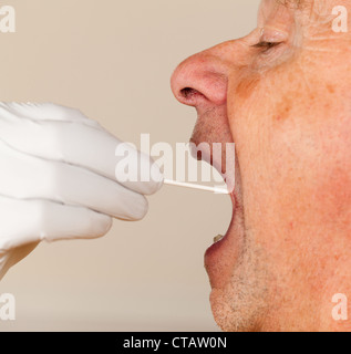 Behandschuhte Hand unter einem körperlich Fluid-Probe für DNA-Test von ältere männliche person Stockfoto