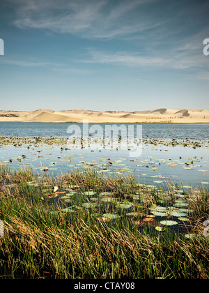 Weißer Sand Dünen und Lotus Lake, Mui Ne, Binh Thuan, Vietnam Stockfoto