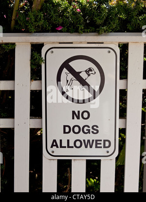 Ein Schild an einem Zaun, sagt, dass keine Hunde erlaubt sind. Stockfoto