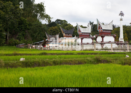 Reisfelder und Batak Gräber auf Pulau Samosir Island im Lake Toba, Insel Sumatra, Indonesien, Südostasien Stockfoto